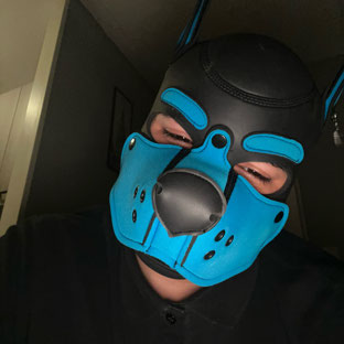 Aokiipup