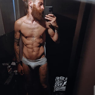Gingerdany